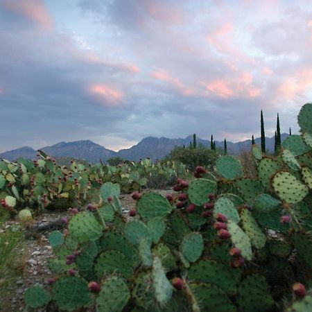 Canyon Ranch Tucson Buitenkant foto