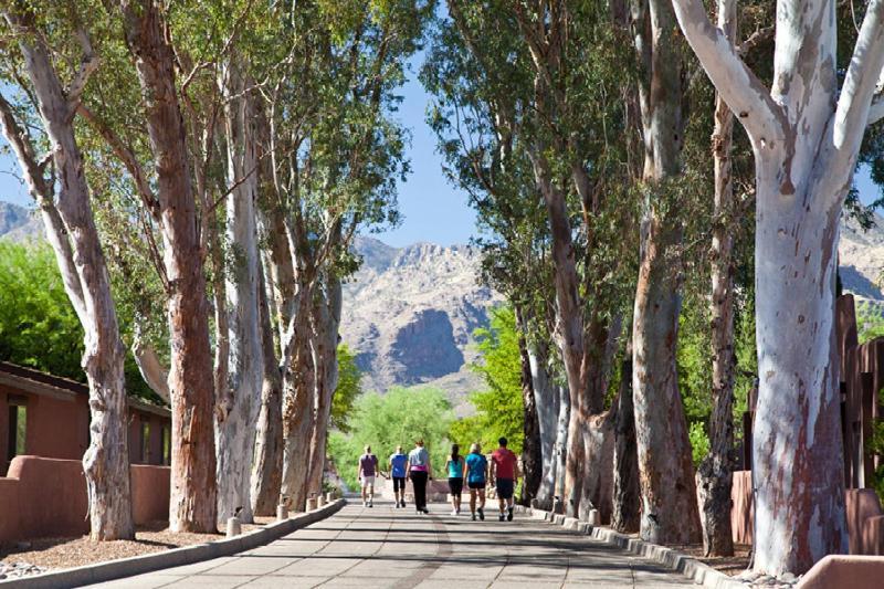 Canyon Ranch Tucson Buitenkant foto