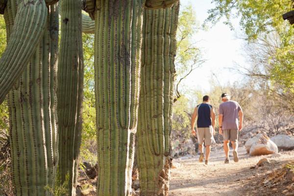 Canyon Ranch Tucson Buitenkant foto