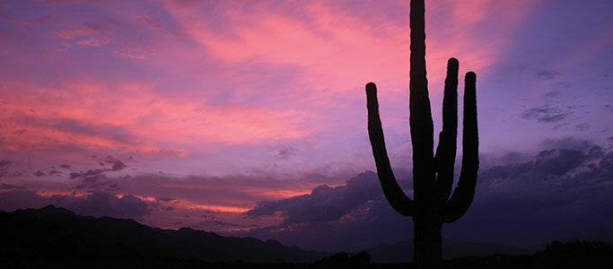 Canyon Ranch Tucson Buitenkant foto