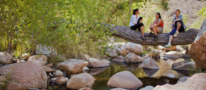 Canyon Ranch Tucson Buitenkant foto